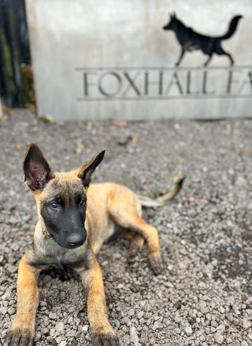Foxhall Farm Thirsk Bagian luar foto