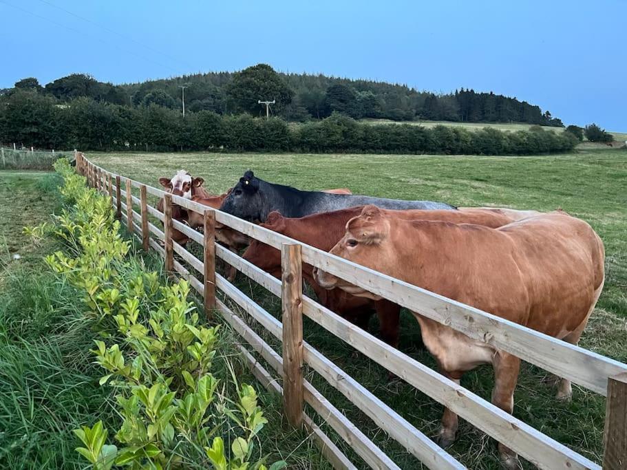 Foxhall Farm Thirsk Bagian luar foto