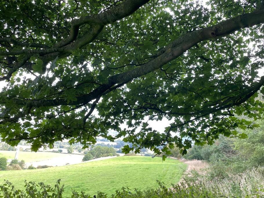 Foxhall Farm Thirsk Bagian luar foto