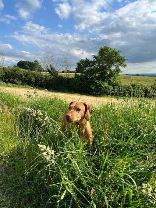 Foxhall Farm Thirsk Bagian luar foto